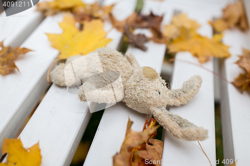 Image of toy rabbit on bench in autumn park