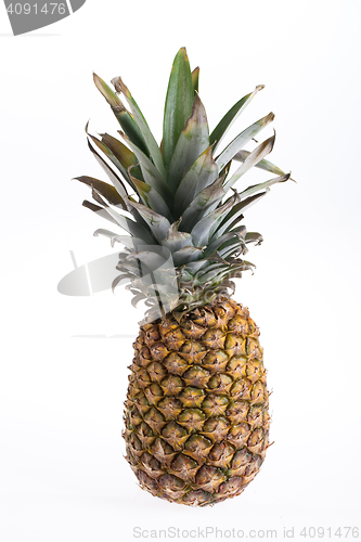 Image of Pineapple