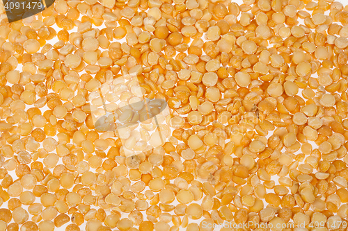 Image of Rice