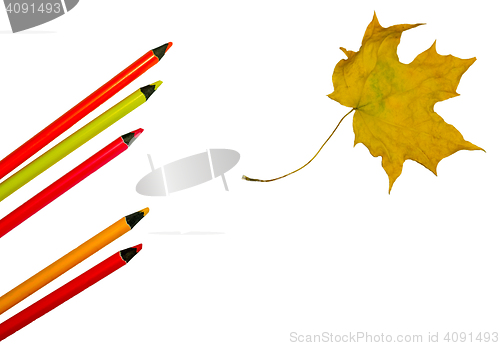 Image of Colour pencils and maple leaf