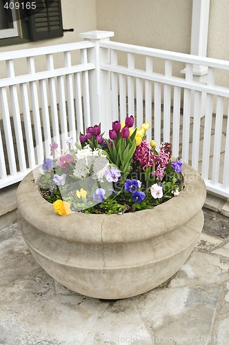 Image of Stone planter with spring flowers