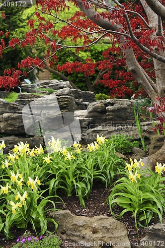Image of Zen garden