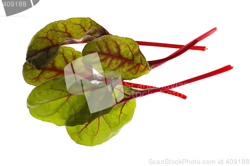 Image of fresh vegetables - spinach beet