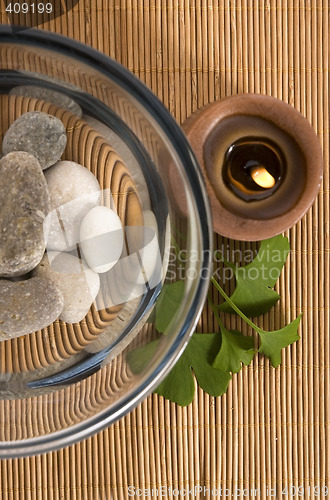 Image of alternative medicine. ginkgo biloba therapy