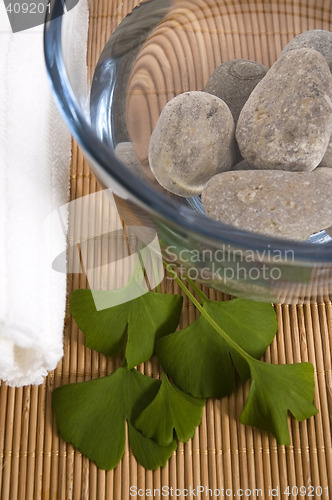 Image of alternative medicine. ginkgo biloba therapy