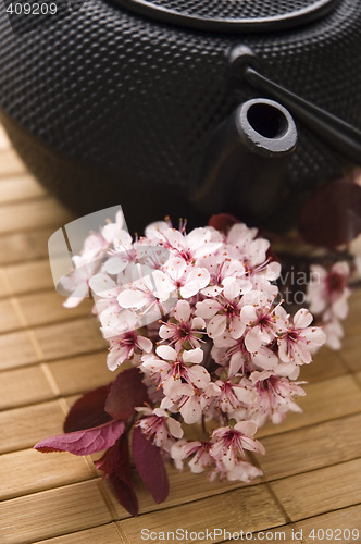 Image of pot of tea