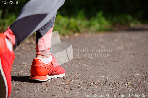 Image of young fitness woman hiker legs at forest trail