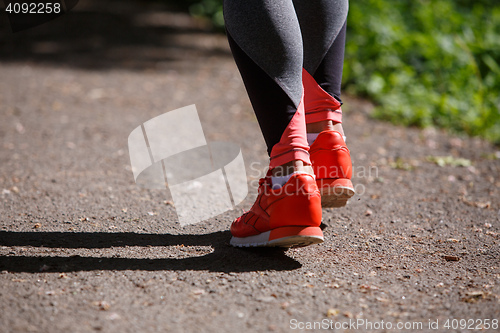 Image of young fitness woman hiker legs at forest trail