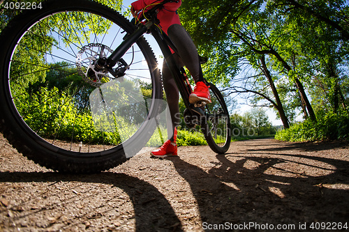 Image of Young woman having fun riding a bicycle in the park.