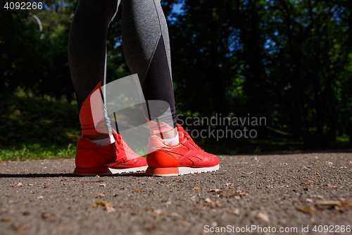 Image of young fitness woman hiker legs at forest trail