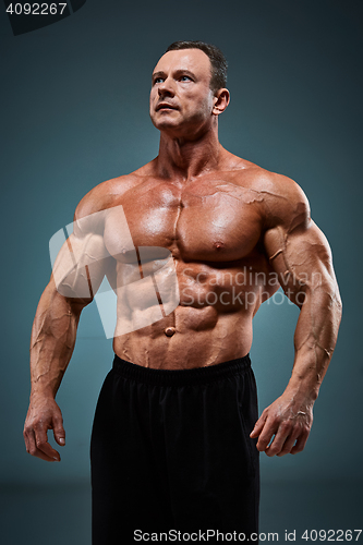 Image of torso of attractive male body builder on gray background.