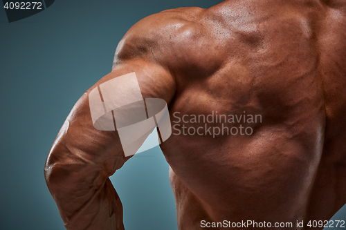 Image of torso of attractive male body builder on gray background.