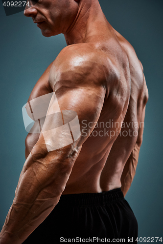 Image of torso of attractive male body builder on gray background.