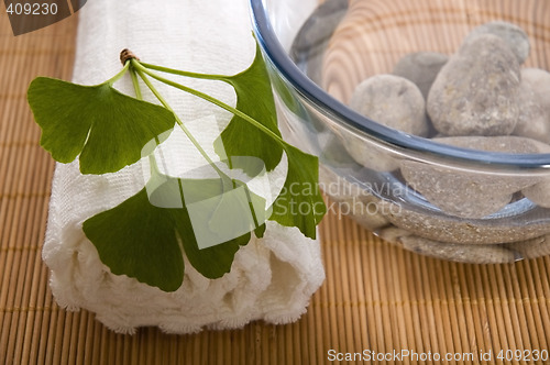 Image of alternative medicine. ginkgo biloba therapy