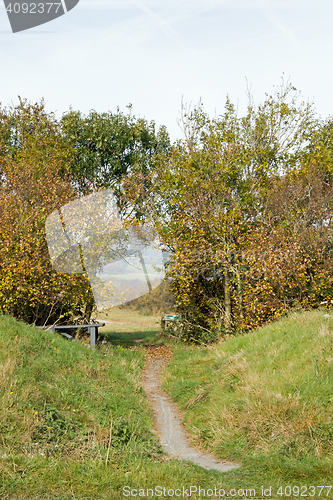 Image of Countryside Path 