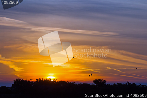 Image of Sunrise over Seaford