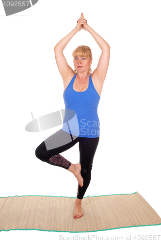 Image of Yoga trainer standing on one leg.