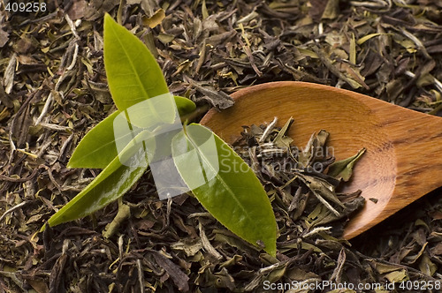 Image of tea