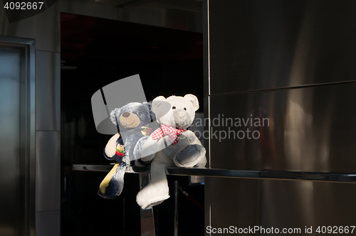 Image of Teddies on a Cruiser