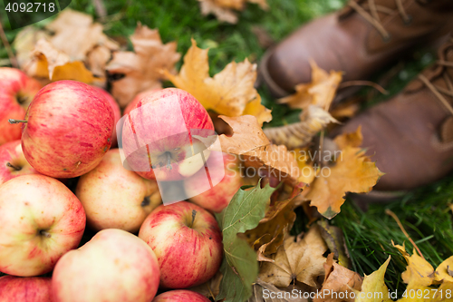 Image of woman feet in boots with apples and autumn leaves