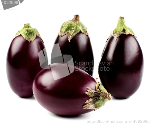 Image of Raw Small Eggplants