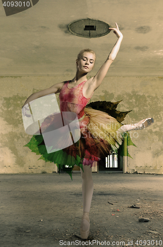 Image of Portrait of the ballerina in ballet pose