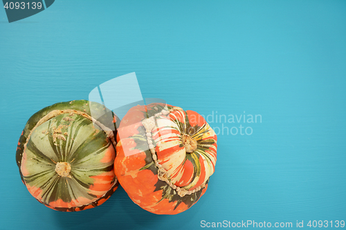 Image of Two Turks turban squash on a wooden background painted teal