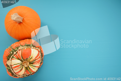 Image of Ripe pumpkin and Turks turban squash on turquoise background