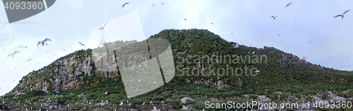 Image of Geological structure of Earth 2. Rock in Pacific ocean (Aleutian Islands) - volcanic origing, composed of basalts