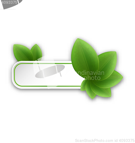 Image of Eco friendly banner with green leaves