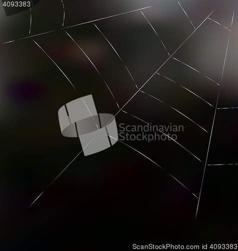 Image of Trap spider web on dark background