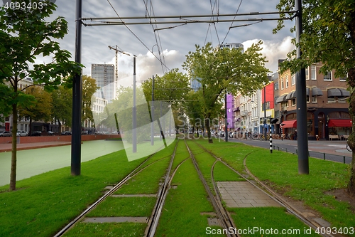 Image of Railroad covered in grass