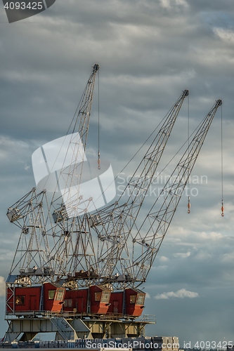 Image of Industrial cargo cranes in the dock