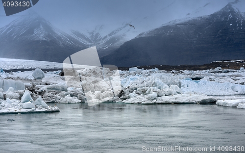 Image of Icebergs at glacier lagoon 