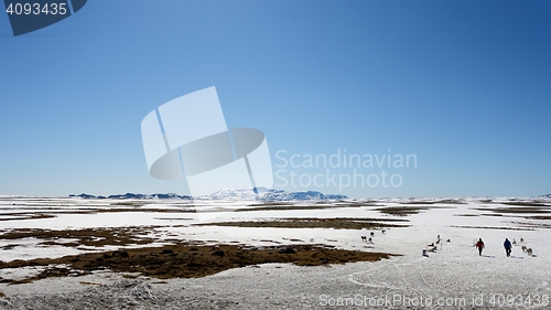 Image of Landscape on Iceland