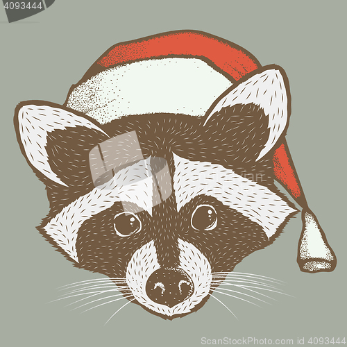 Image of Raccoon vector illustration