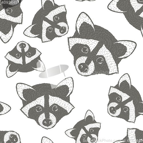 Image of Raccoon vector illustration