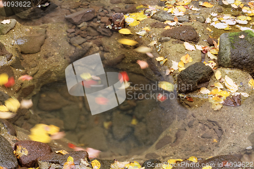 Image of Lake in autumn