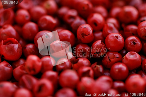 Image of Pink Pepper