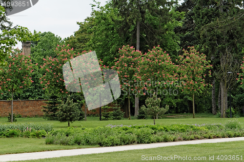 Image of Green park