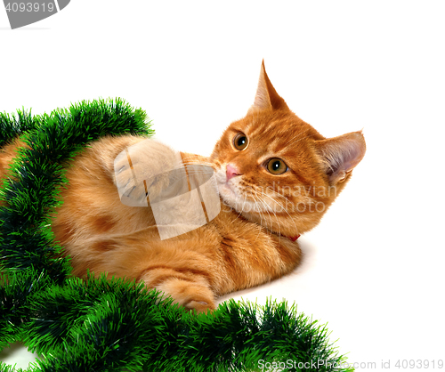 Image of Red-headed kitten lying on its side in Christmas tinsel