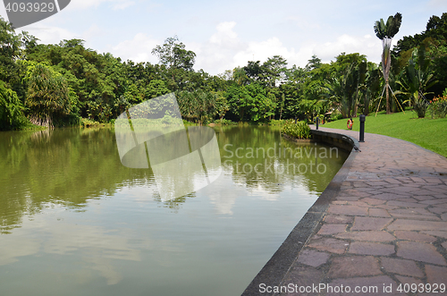 Image of Lake in Singapore Botanic Garden