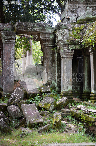 Image of Ta Prohm Temple, Angkor, Cambodia