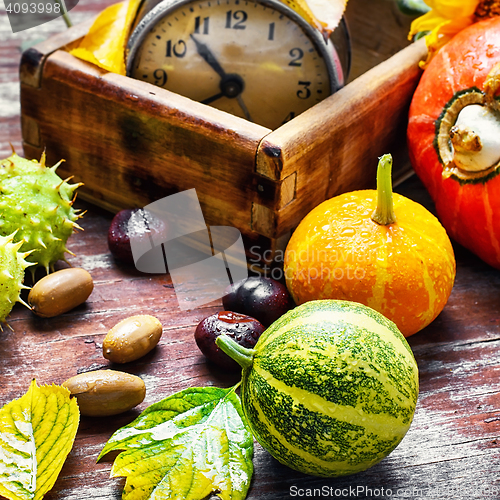 Image of autumn harvest