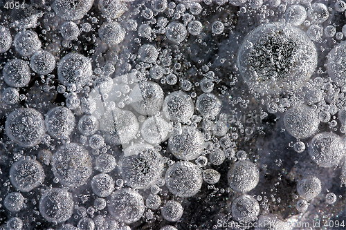 Image of Air bobbles in ice