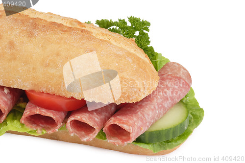 Image of Garnished Salami sandwich