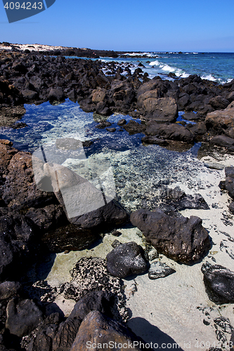 Image of  sky light  beach water  in lanzarote  isle foam rock  