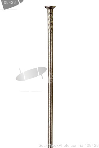 Image of Nail
