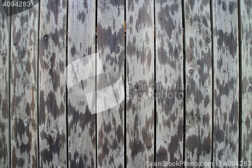 Image of  spotted wooden fence  