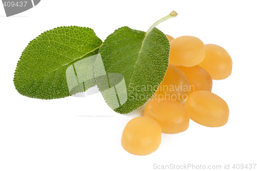 Image of Sage cough drops